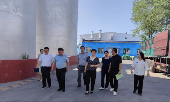 提信心 促發(fā)展|奎屯市副市長(cháng)、伊犁州科技局局長(cháng)、奎屯市科技局局長(cháng)一行調研金雪馳奎屯工廠(chǎng)